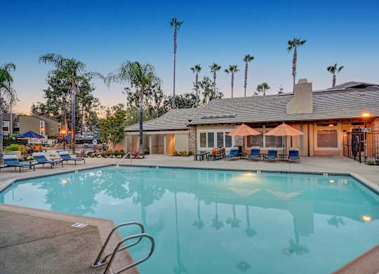 A swimming pool in front of a house with a patio and palm trees.