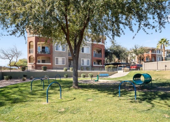 Dog park