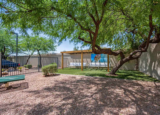 San Portella, Tempe, AZ, Dog Park