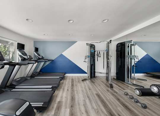 A gym with treadmills, elliptical machines, and dumbbells.