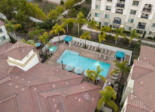 A pool surrounded by palm trees and umbrellas.