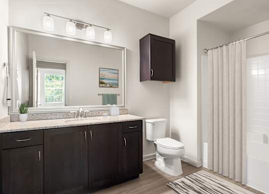 A bathroom with a white toilet and a sink with a mirror above it.