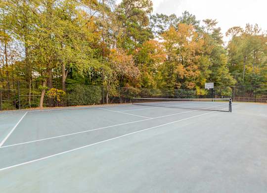A tennis court that also has basketball goals surrounded by trees