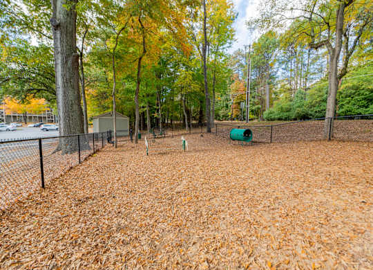 the dog park