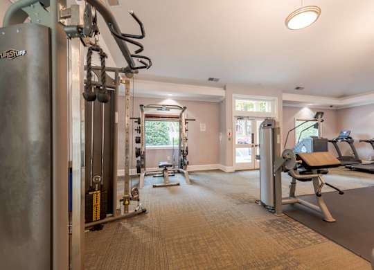 A gym with a variety of equipment including a squat rack, a bench press, and a treadmill.