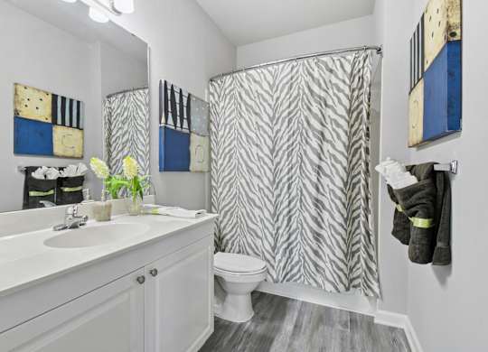 A bathroom with a white sink and a shower curtain with a zig zag pattern.