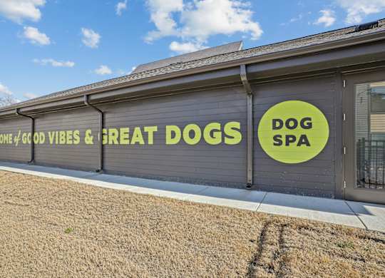 A dog spa sign on a grey building.