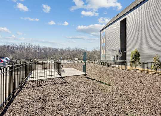 Dog Park