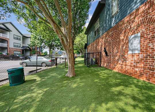 A tree in a yard next to a brick wall.