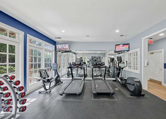 A gym with treadmills, elliptical machines, and dumbbells.