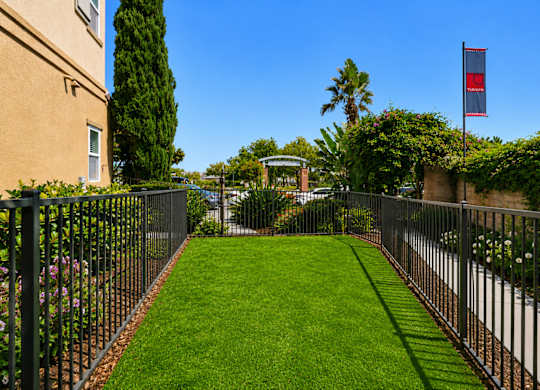 A well-manicured lawn is bordered by a black metal fence.