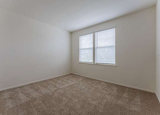 A room with a carpeted floor and a window with blinds.