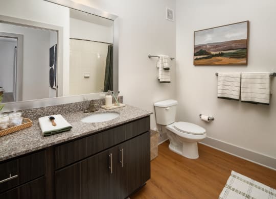 a bathroom with a large mirror and a toilet and sink