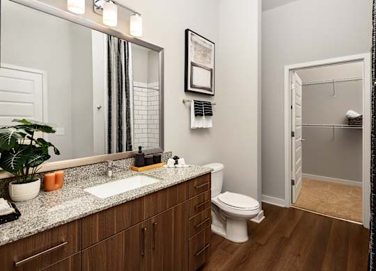 a bathroom with a mirror and a toilet and a sink