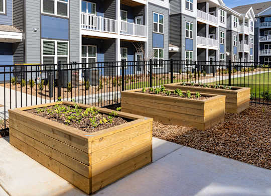 Apartment complex with a black fence and two wooden planters with green plants in front.