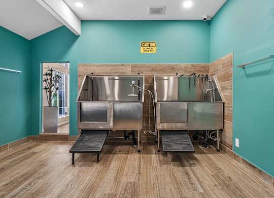 On-site pet wash area designed for resident convenience.