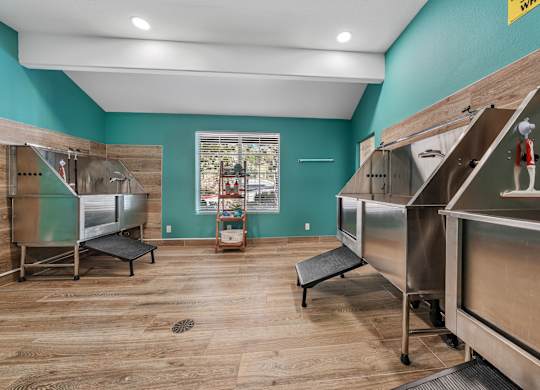 On-site pet wash area designed for resident convenience.