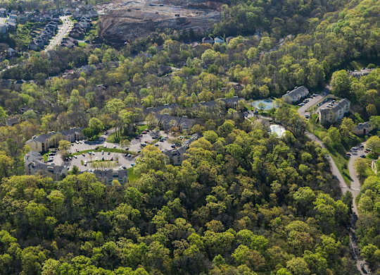 A forest with a building in the middle.