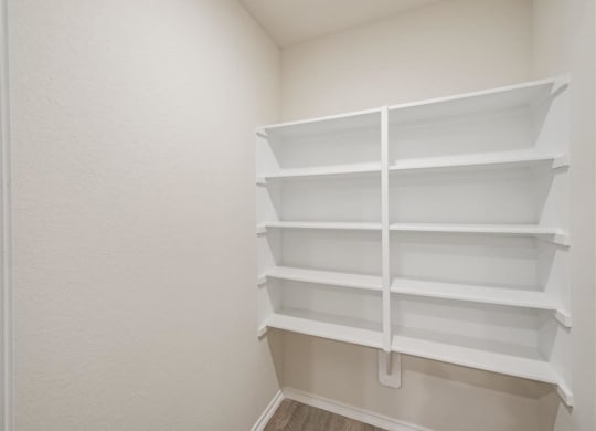 Closet View at The Village at Caney Mills, Texas, 77303