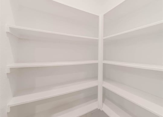 Large Closets at The Village at Caney Mills, Conroe, 77303