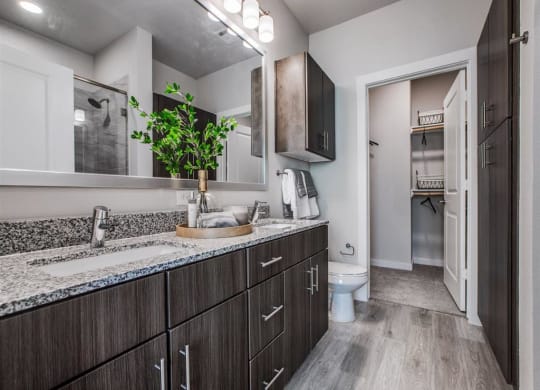 a bathroom with a sink and a toilet
