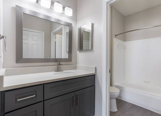 A bathroom with a white sink and a large mirror.