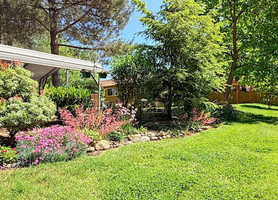 A garden with a variety of plants and a house in the background.
