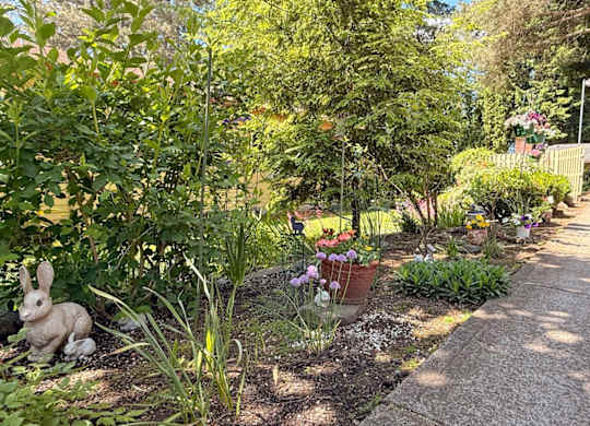 A garden with a statue of a rabbit and a variety of plants.
