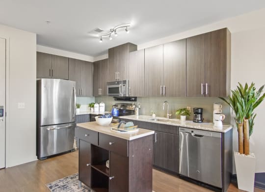 Stainless Steel Appliances at the Heights at Glen Mills in Glen Mills, PA