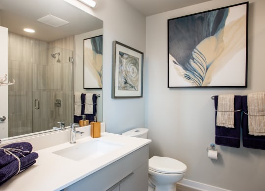 Unit Bathroom at The Grand Central Apartments in Chicago, IL 60607