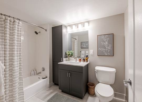 Bright bathroom at 15 Bank Apartments in White Plains, NY 10606