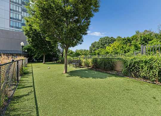 Onsite Pet Park at 15 Bank Apartments in White Plains, NY 10606