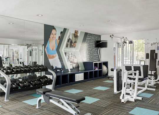a gym with weights and other exercise equipments and a large wall mural of women  at Verona, Littleton, 80123
