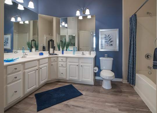 A bathroom with a white toilet and a blue rug.