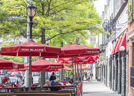 Flourishing Neighborhood at 15 Bank Apartments, White Plains, New York