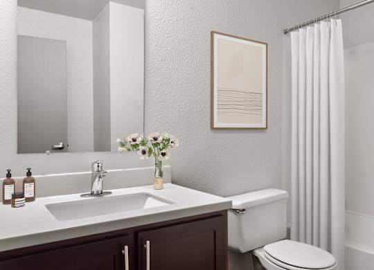 a bathroom with a sink and a toilet and a shower  at Verona, Colorado