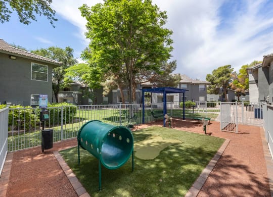 dog park with playground and tree at Paisley and Pointe Apartments, Nevada