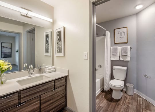 a bathroom with a mirror and a sink and a toilet at Paisley and Pointe Apartments, Nevada