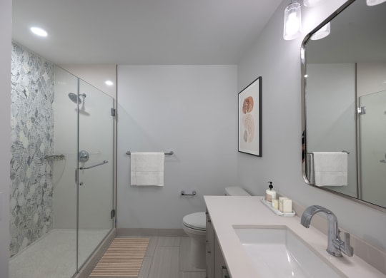 a bathroom with a shower and a sink and a mirror  at The Belden Stratford, Chicago, Illinois