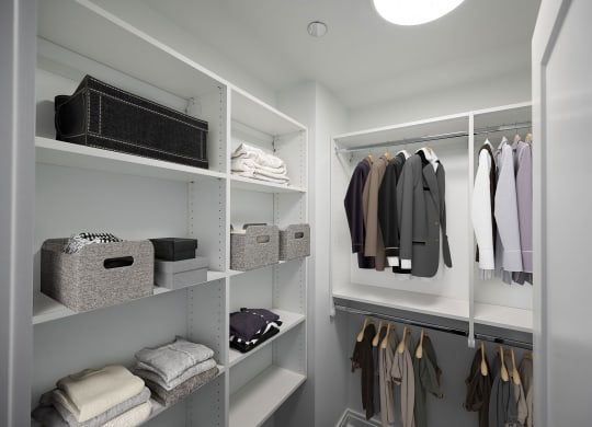 a walk in closet with a lot of shelves and clothes  at The Belden Stratford, Chicago, 60614
