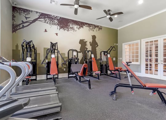 a gym with cardio equipment and a wall mural of exercise equipment at Madison on the Meadow, Stafford, TX, 77477