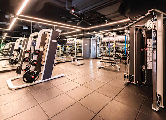 A gym with a row of treadmills on the left and a row of exercise machines on the right.