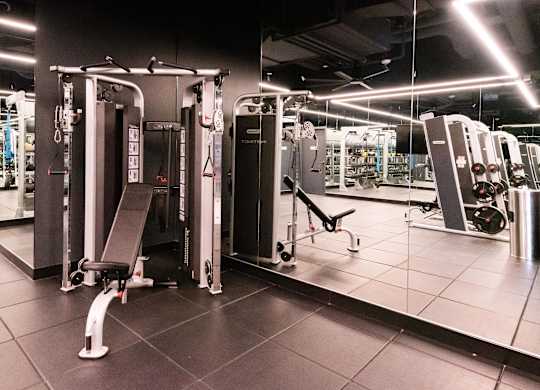 A gym with a variety of equipment including treadmills, weights, and exercise machines.