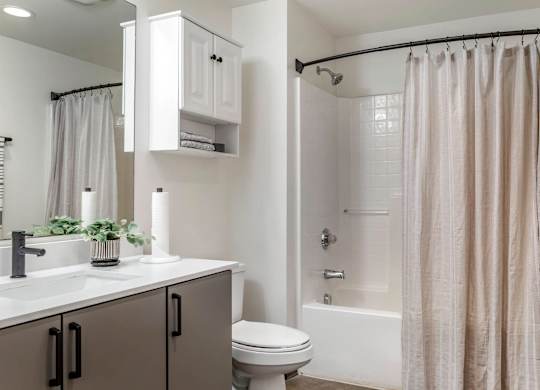 a bathroom with a shower and a sink and a toilet at Highland Mill Lofts, Charlotte, North Carolina