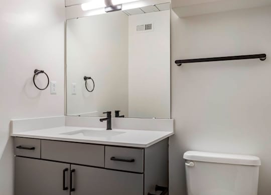 a bathroom with a sink and a mirror and a toilet at Highland Mill Lofts, North Carolina