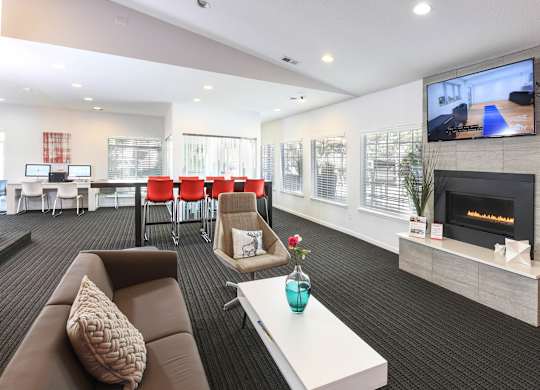 a living room with a fireplace and a television at Verona, Littleton, 80123