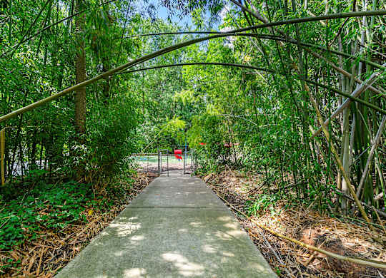 Walkway under a canopy of trees at Georgian Oaks Apartments l & ll* Apartments, Smyrna , 30080