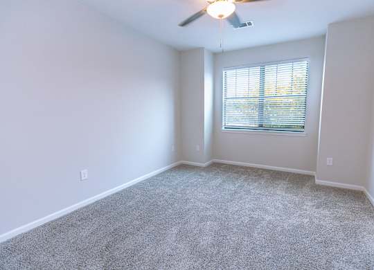 A room with a carpeted floor and a window with blinds.