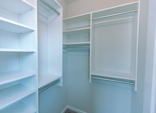 A white pantry with shelves and a door open.