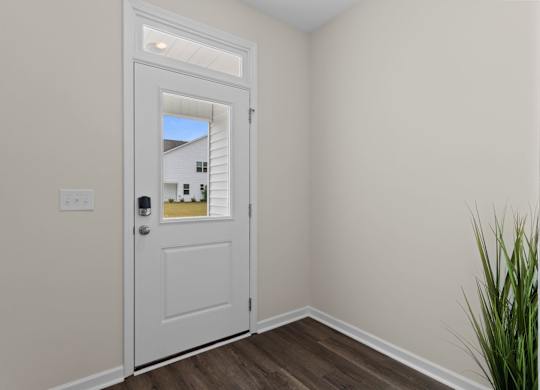 A white door with a glass window is in a room with a plant.